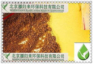 煙臺聚合硫酸鐵應用領域與環(huán)保技術開發(fā)